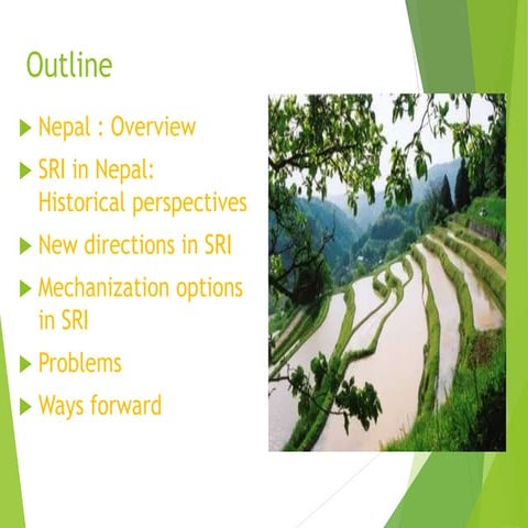 1614   New Directions for the System of Rice Intensification (SRI) in Nepal: ...