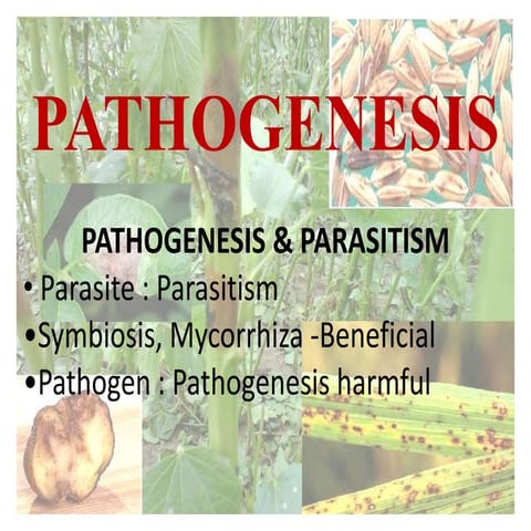 pathogenesis and parasitisim 16141219.ppt
