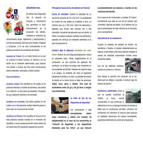 162519605 triptico-seguridad-vial-2011