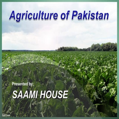 Agriculture of Pakistan | PPT