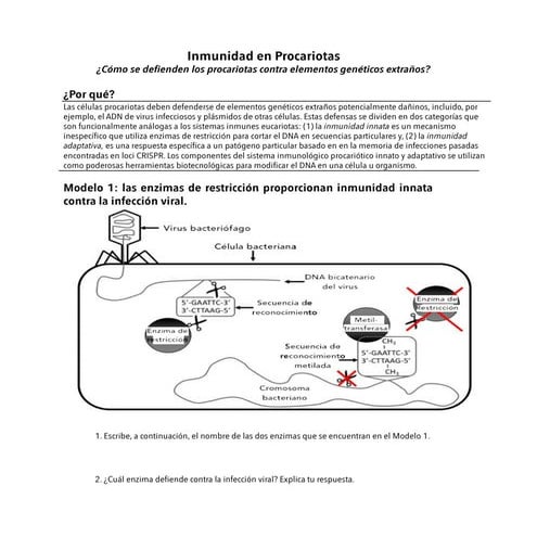 Inmunidad en procariotas. Guía basada en la metodología POGIL.pdf