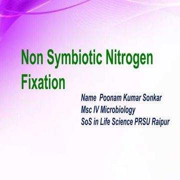 non symbiotic nitrogen fixation P.K.sonkar.pptx