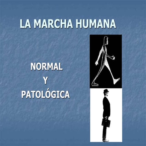 La marcha humana normal y patologica humana