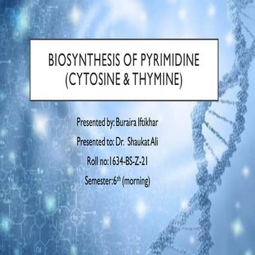 1634-biochem (2)  biossynthesis of pyrimidine