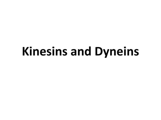 dyneins and kinesins