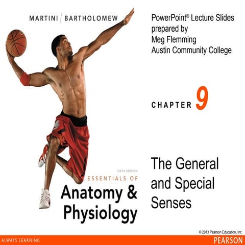 163 ch 09_lecture_presentation