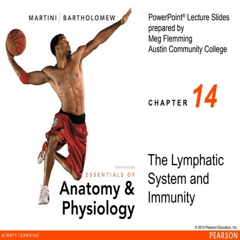 163 ch 14_lecture_presentation