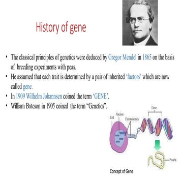 Gene structure | PPTX