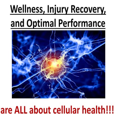 PEMF powerpoint presentation March 8,  2016 3