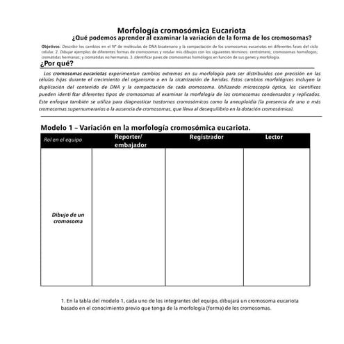 Morfología cromosómica eucariota.Guía basada en la metodología POGIL.pdf