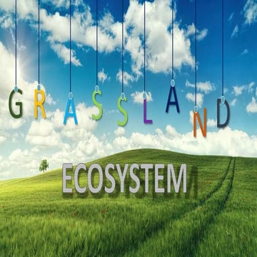 1660926386631_GRASSLAND.pptx