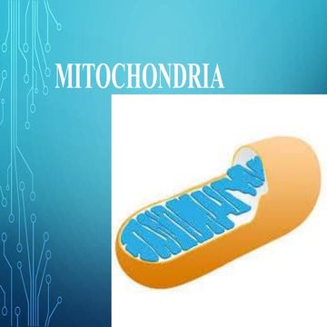 1663838359563_MITOCHONDRIA.pptx