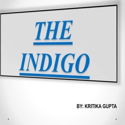 1668526681006_indigo project file eng class 12.pptx