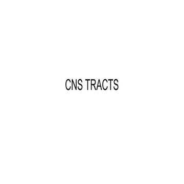 cns tracts and tracts of cns  and functions