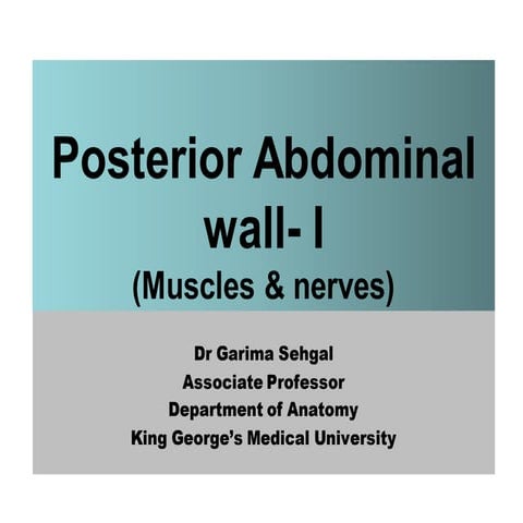 posterior abdominal wall.pdf