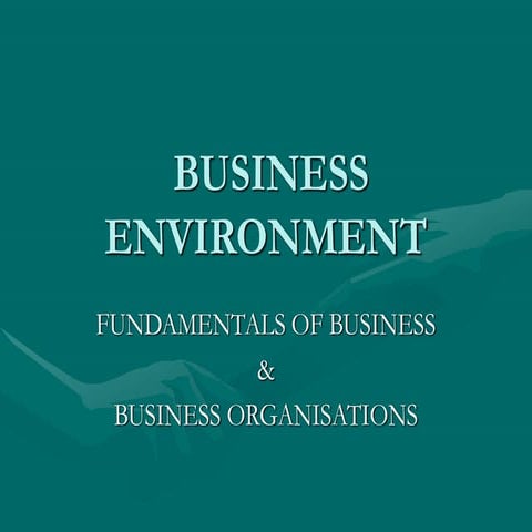 Business Environment Basics