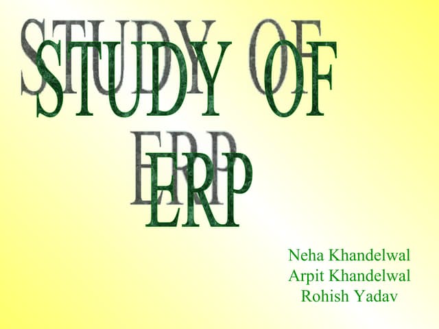 16870343 erp-enterprise-resource-planning