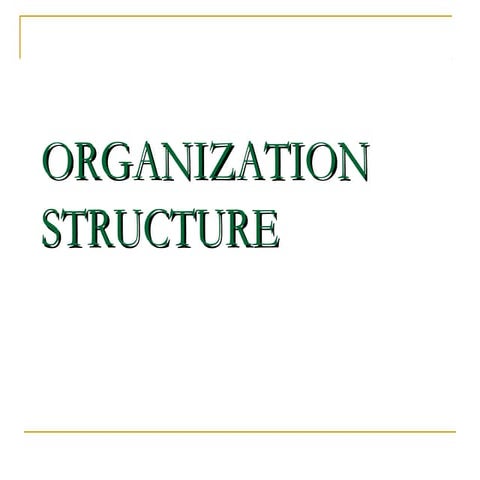  organisational structure