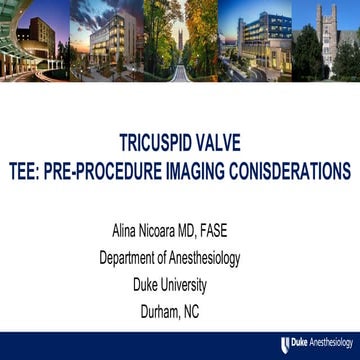 Tricuspid Valve TEE: Pre-Procedure Imaging Considerations