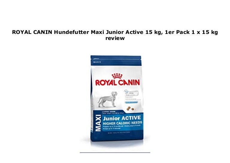 maxi junior active royal canin