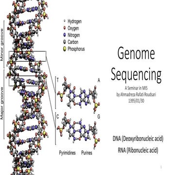 Genome Sequencing - Ahmadrezarafati 1395-01-30