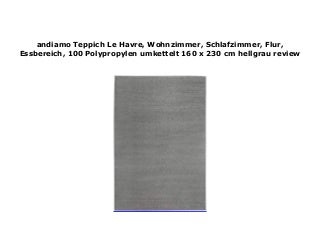 andiamo Teppich Le Havre, Wohnzimmer, Schlafzimmer, Flur, Essbereich, 100 Polypropylen umkettelt 160 x 230 cm hellgrau review