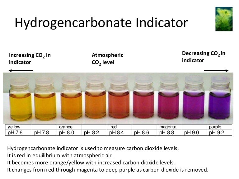 16 b1.33b carbon dioxide indicator
