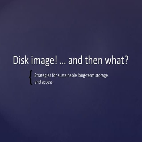 Disk Image!...and then what?  Strategies for sustainable long-term storage and access