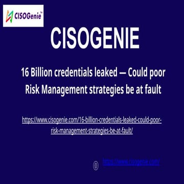 16 Billion credentials leaked Could poor Risk Management strategies be ...