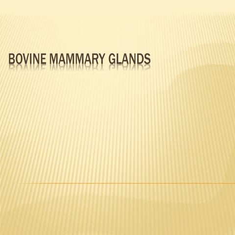 16  bovine mammary glands complete