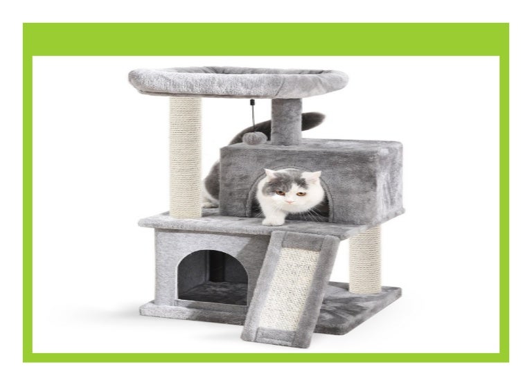 cat activity centre pets at home