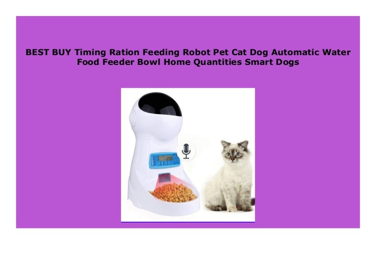 cat feeding robot