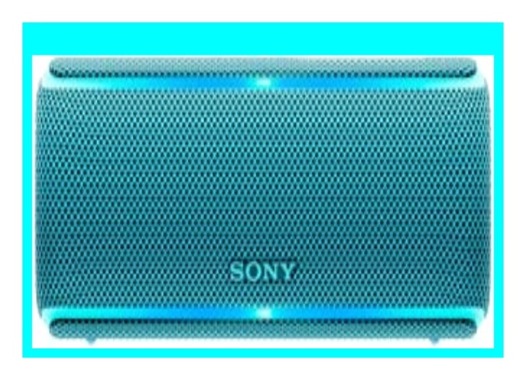 best buy sony srs xb21