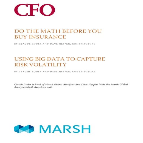 D&B Viability Rating Quick Guide | PDF