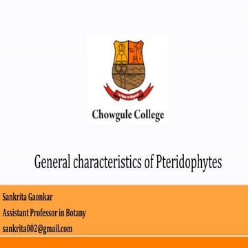 General characteristics of pteridophytes