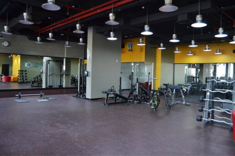 Gold's Gym , AL Nahda, Dubai
