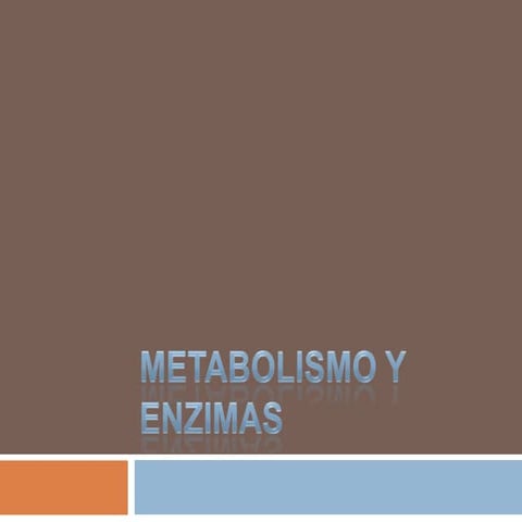 16 metabolismo y enzimas