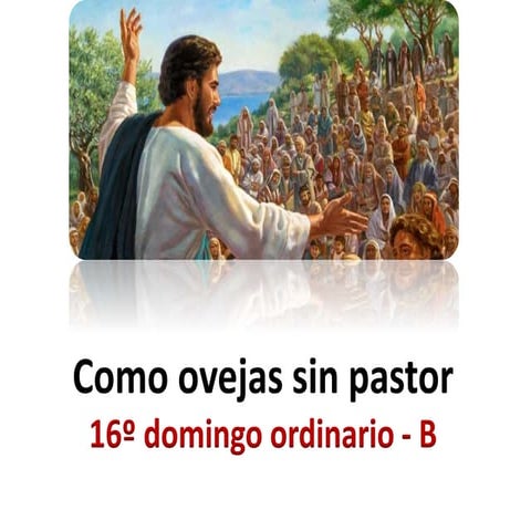 16 domingo ordinario - B