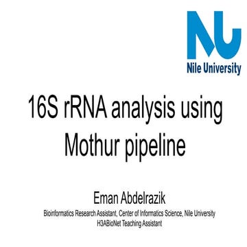 16S rRNA Analysis using Mothur Pipeline
