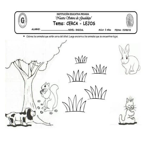 16 tema cerca   lejos