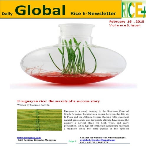 16th february,2015 daily global rice e newsletter by riceplus magazine