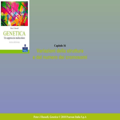 16 variazione cromosomi