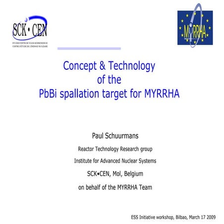 ESS-Bilbao Initiative Workshop. Concept and Technology of the PbBi-Target for MYRRHA.