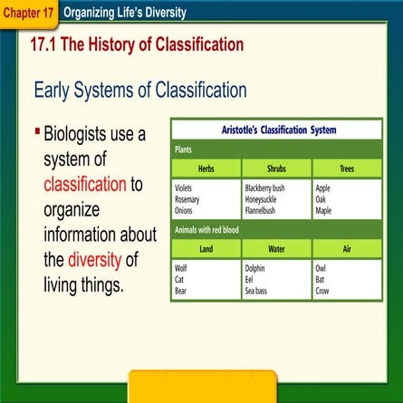 17.1 history of classification