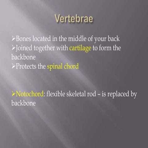 17.1 Common Traits of Vertebrates