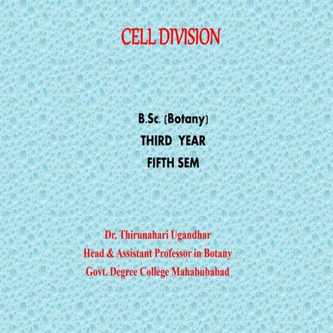 Types of cell divisions 