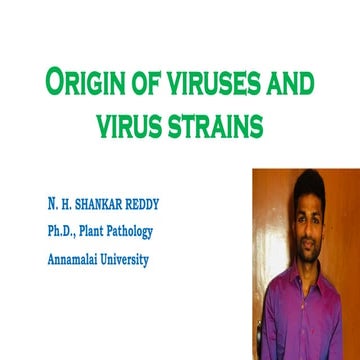 Origin of viruses and virus strains