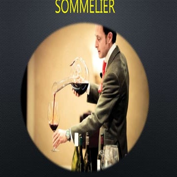 17. Sommelier