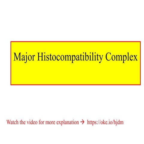 17.histocompatability complex