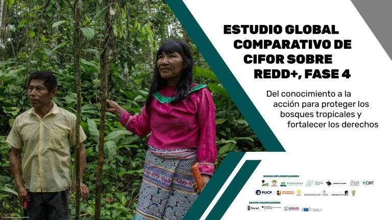 thumbnail of Estudio Global Comparativo de CIFOR Sobre REDD+, Fase 4